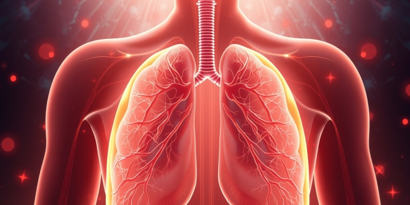 Respiratory Control Mechanisms