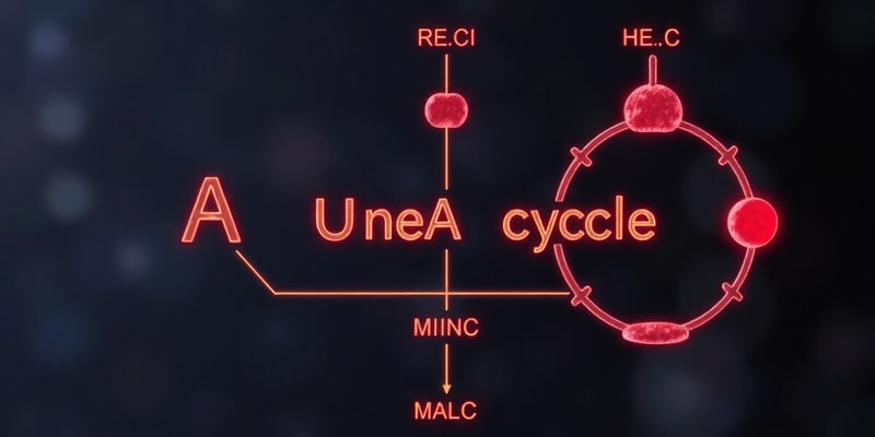 Amino Acids and Metabolism Quiz