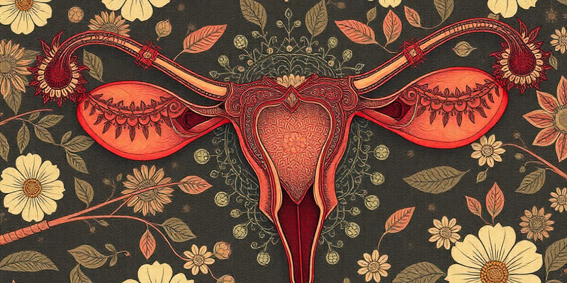 Female Reproductive Biology Quiz