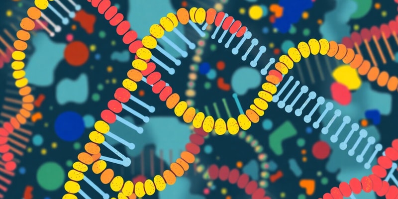 RNA Types and Transcription Processes