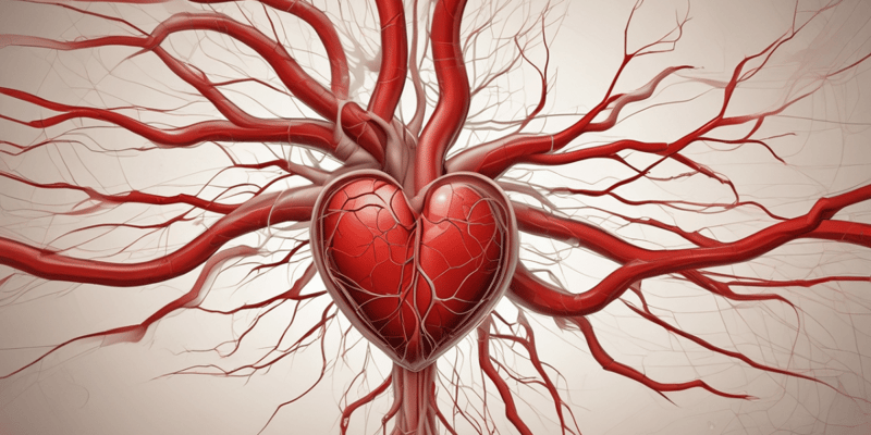 Cardiovascular System Blood Flow Quiz