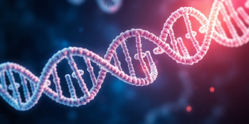 Biologia: Ribonucleic Acid (RNA)