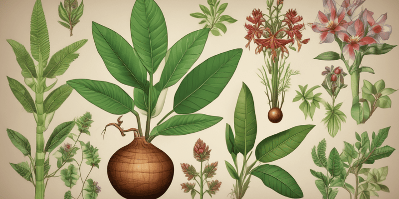 Plantas Medicinales de la Amazonía Peruana