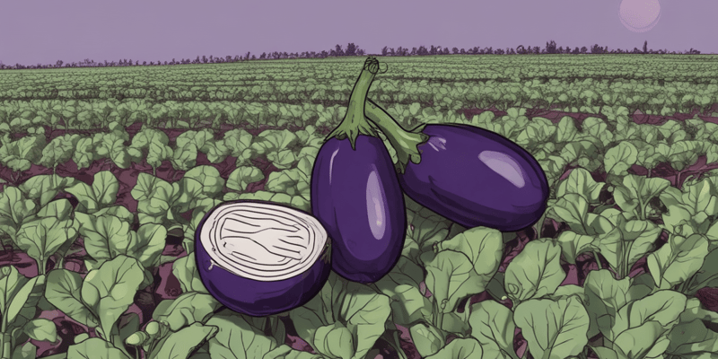 Eggplant Quiz