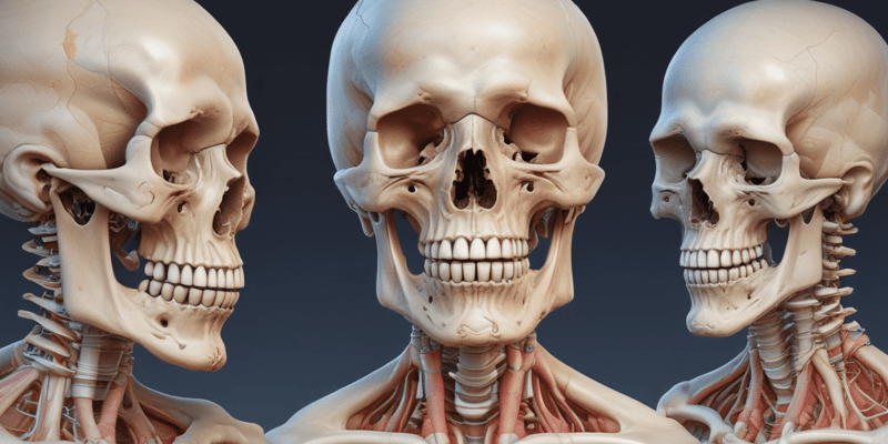 Pathology of Bone Neoplastic Disorders Quiz