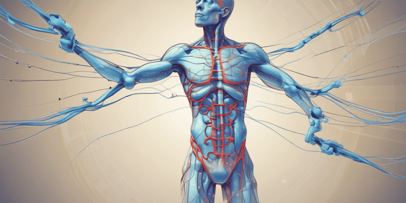 Electrolytes in the Human Body