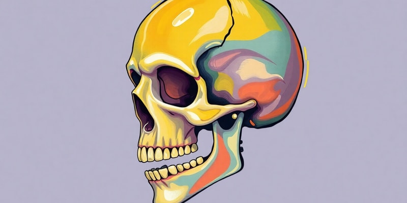 The Skull