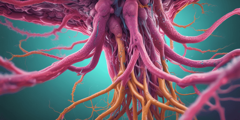 Overview of the Immune System and Lymphatic System