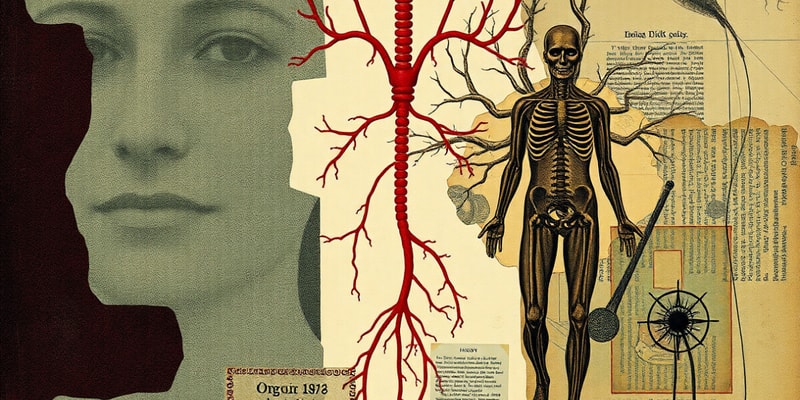 Endocrine vs Nervous Systems Overview