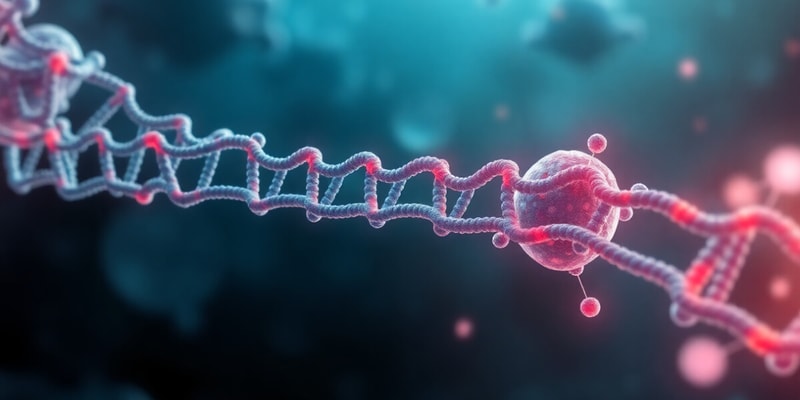 Eukaryotic Transcription: L13