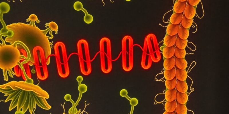 Lac-operon genregulering