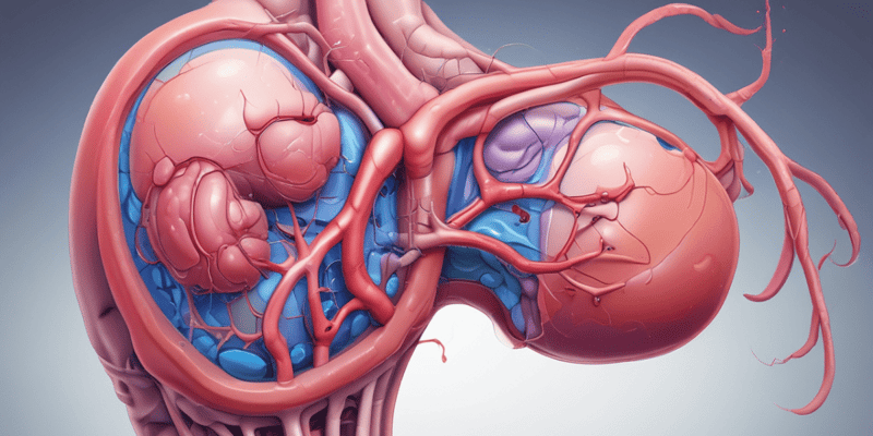 Renal Anatomy Overview