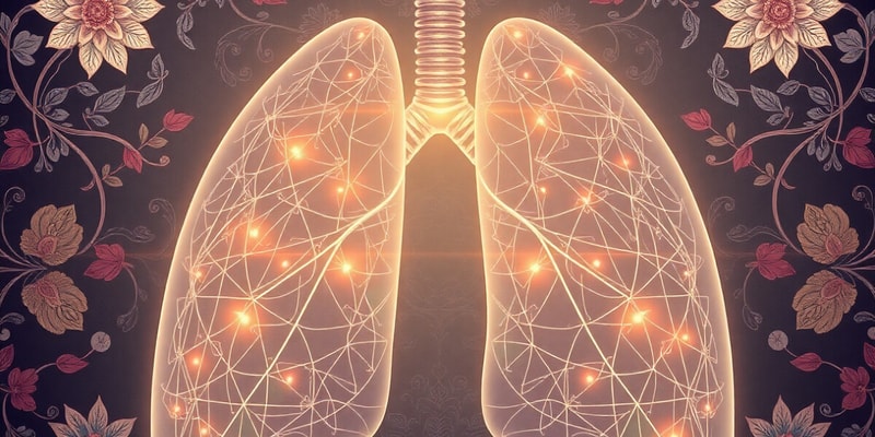 Human Respiratory System Overview