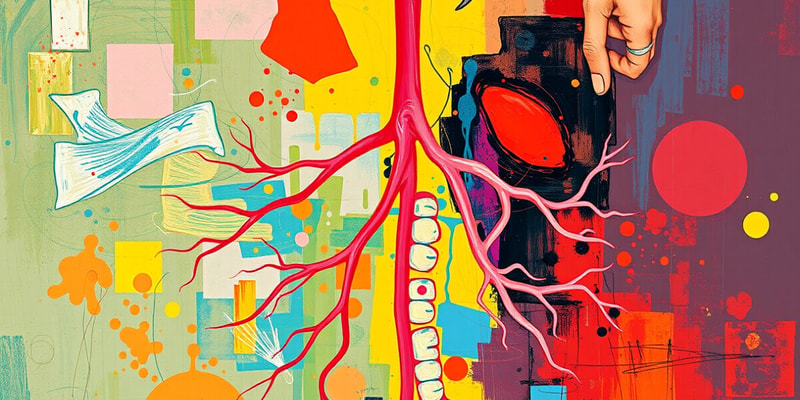 Human Respiratory System Mechanisms