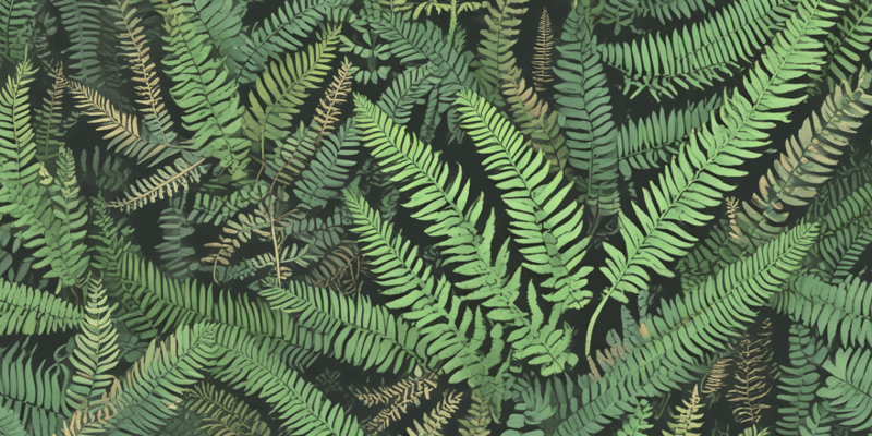 Fern Reproduction and Life Cycle