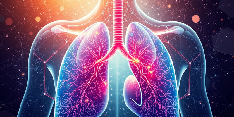 Respiratory System Overview