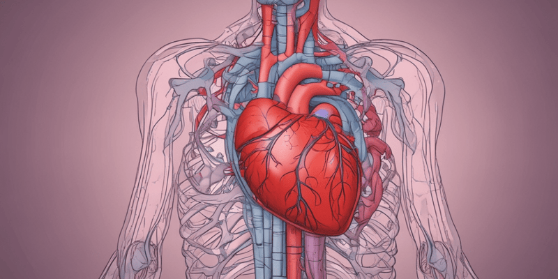 Heart Function and Cardiac Output