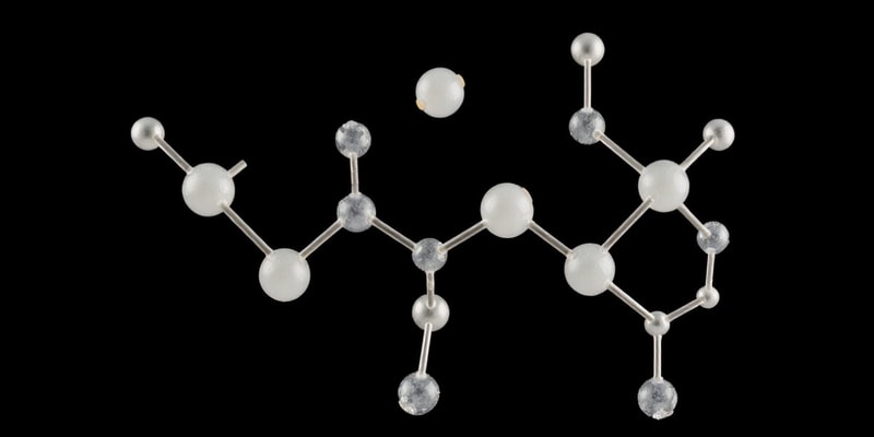 Carbohydrates and Monosaccharides