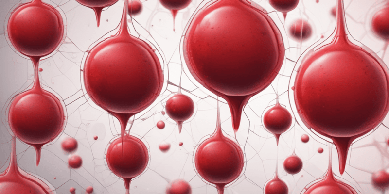 Blood Group Determination