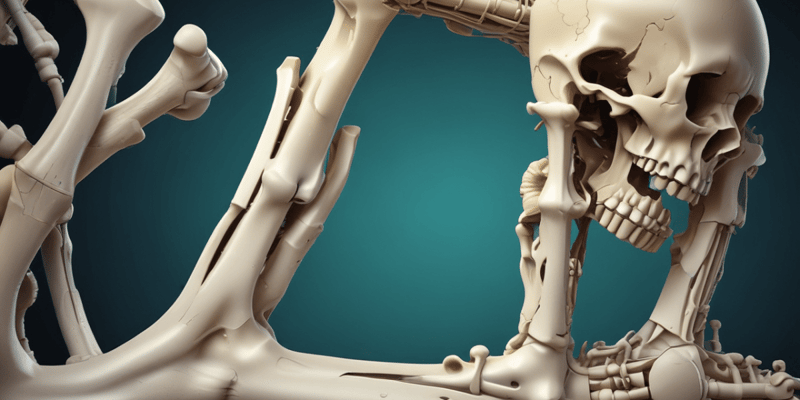 Bone Repair and Healing
