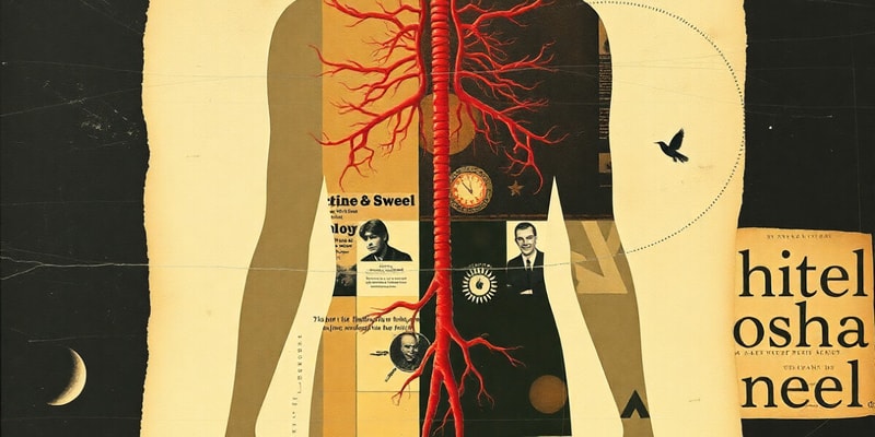 Endocrine System Overview