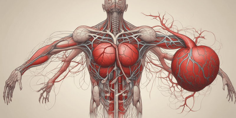 Cardiovascular System: Physical Characteristics of Blood