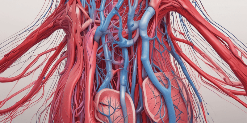 L23 Microcirculation and lymphatic system