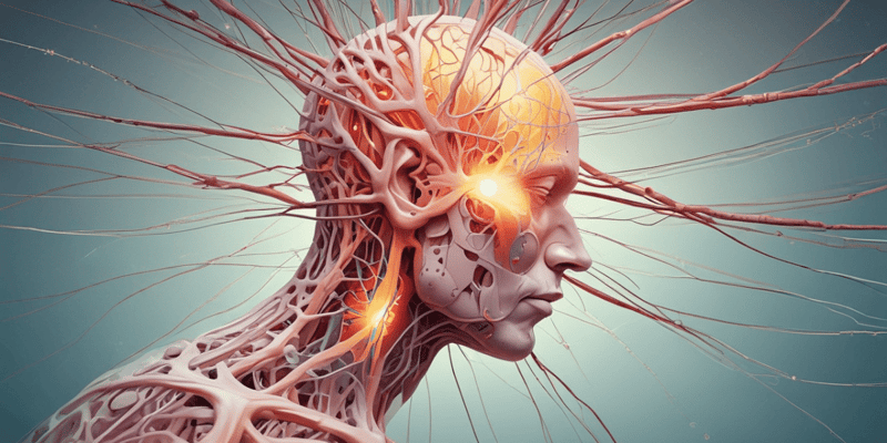 Neuropathic Pain Causes and Symptoms