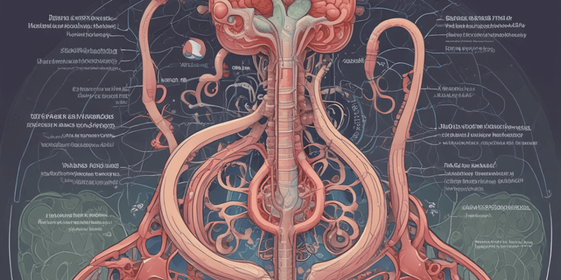Kidney Anatomy and Function Quiz