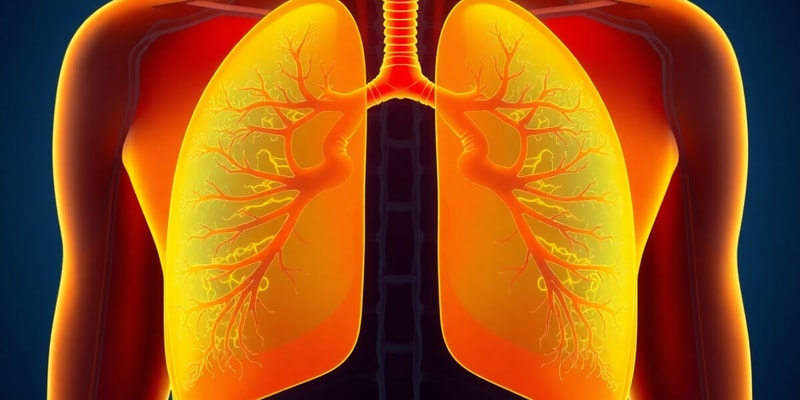 Biology Chapter on Respiratory System Functions