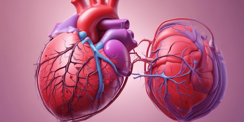 Décompensation Cardiaque et Diagnostic - Échocardiographie
