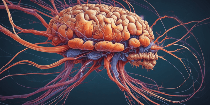 Neuronas y Neuroglía en el Sistema Nervioso