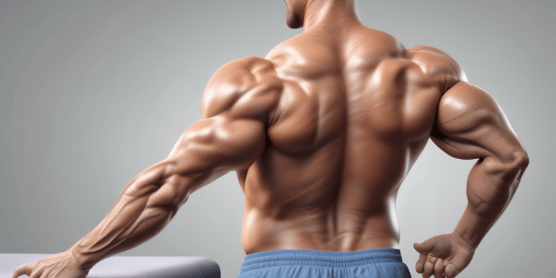 Muscle Strength Testing Procedure