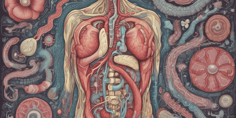 Digestive System Functions