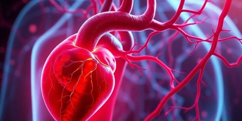 Cardiovascular System Summary