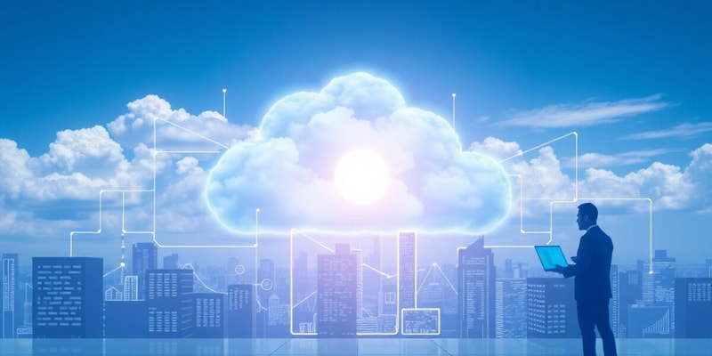 Cloud Computing and the IT Industry