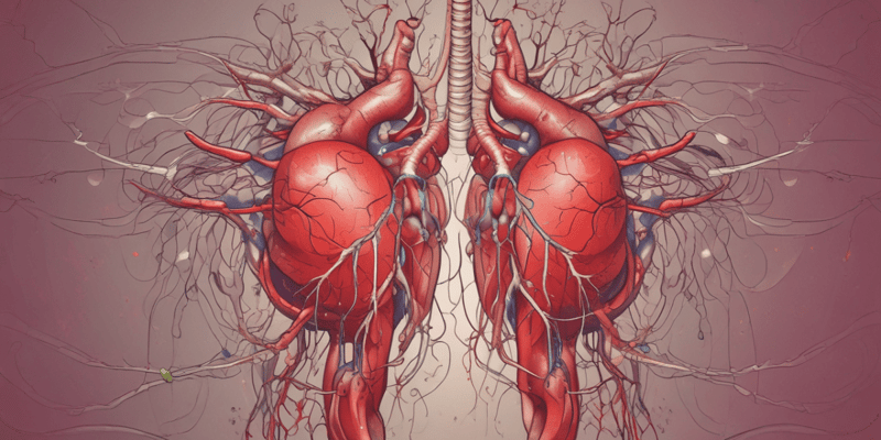 Cardiovascular System Symptoms