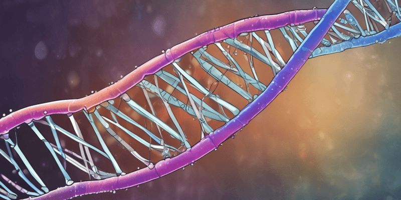 Molecular Genetics: DNA Replication and Mutagenesis