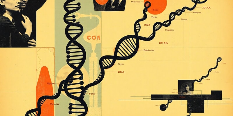 RNA Types and Functions