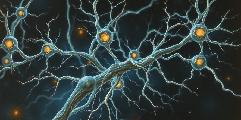 Neuroscience Overview Quiz