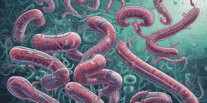 Entérotoxine et Pathogénie de Vibrio Cholerae