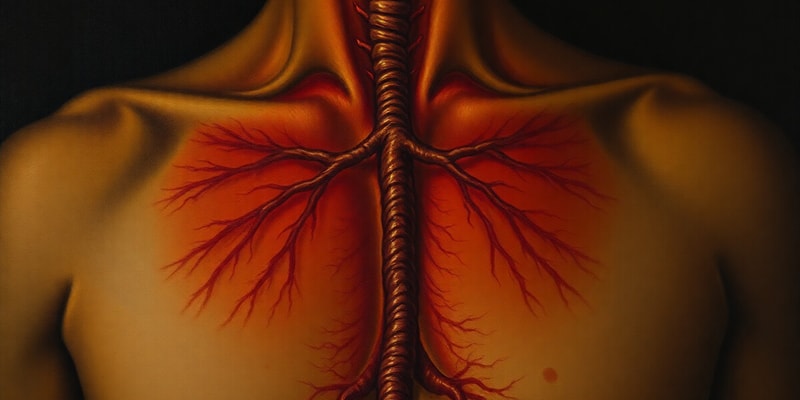 Endocrine System and Homeostasis