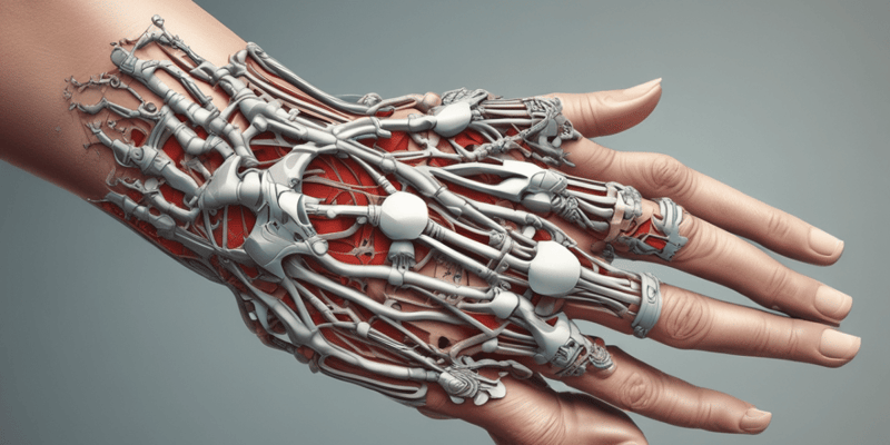 The Wrist Complex: Anatomy and Functions