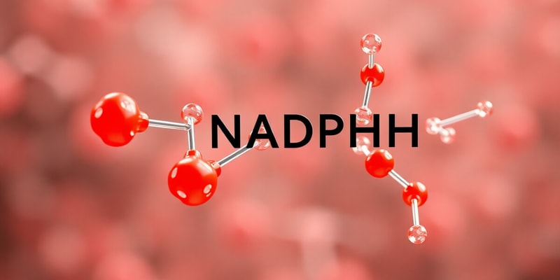 Biochemistry NADPH and Oxidative Stress