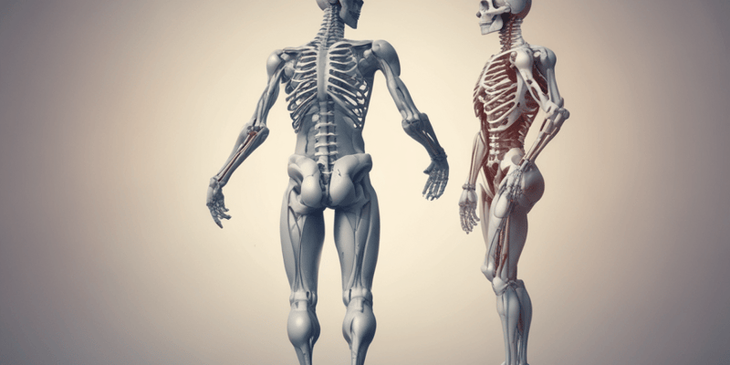 Orthopedic Medicine and Musculoskeletal Disorders
