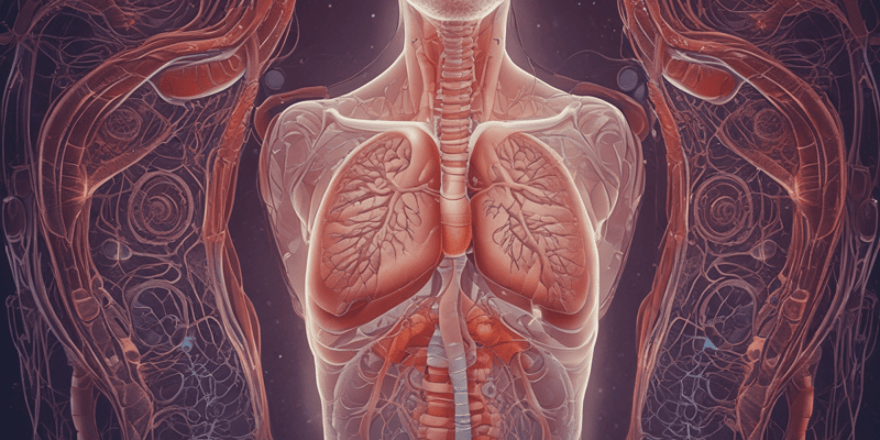 Respiratory System