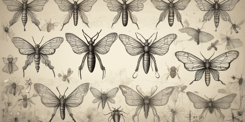 Insect Evolution and Animal Behavior Quiz
