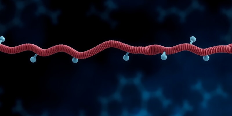 PHYSPHAR_MODULE3B_Protein Binding