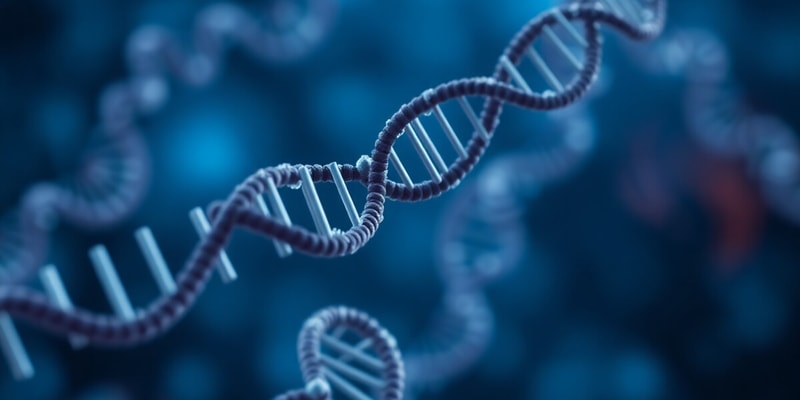 Transcription and RNA Processing - Pierce Chapters 13 & 14