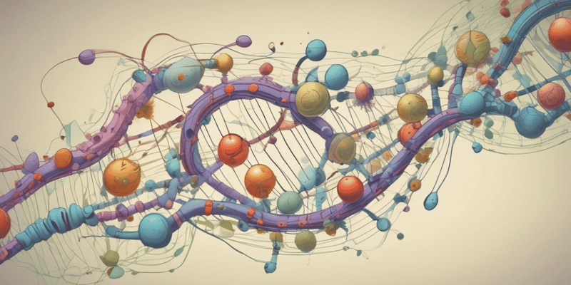 Molecular Biology: mRNA Structure and Translation